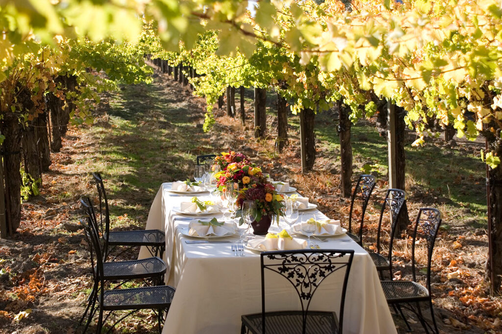 VR076-eventspace-vineyard